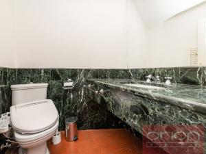 Pronájem bytu 4+1, Praha - Vinohrady, Ibsenova, 305 m2