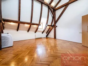 Pronájem bytu 4+1, Praha - Vinohrady, Ibsenova, 305 m2