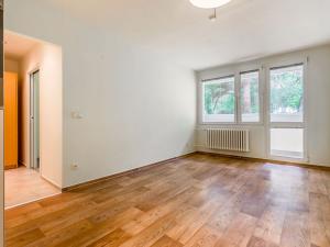 Pronájem bytu 2+kk, Kolín - Kolín II, Rimavské Soboty, 43 m2