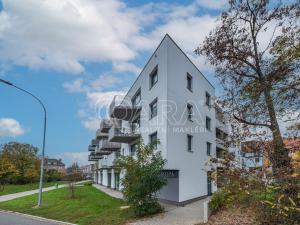 Pronájem bytu 1+kk, Praha - Hloubětín, Kbelská, 34 m2