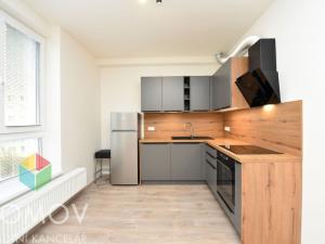 Pronájem bytu 1+kk, Beroun, Nepilova, 35 m2