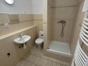 Pronájem bytu 1+kk, Opava, Nákladní, 24 m2