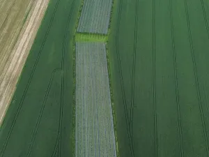 Prodej zemědělského objektu, Čejkovice, 32904 m2