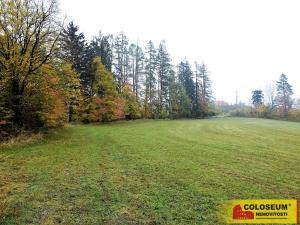 Prodej komerčního pozemku, Valchov, 6525 m2