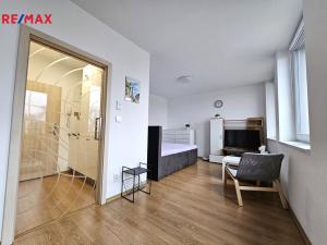 Pronájem bytu 1+kk, Olomouc, 17. listopadu, 36 m2