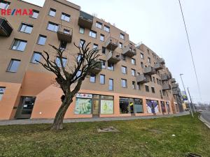 Pronájem bytu 1+kk, Olomouc, 17. listopadu, 36 m2