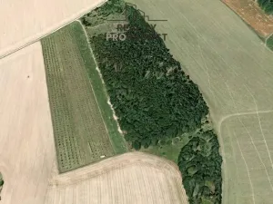 Prodej sadu/vinice, Odry - Kamenka, 40158 m2