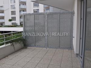 Pronájem bytu 1+kk, České Budějovice - České Budějovice 2, Volejbalistů, 28 m2