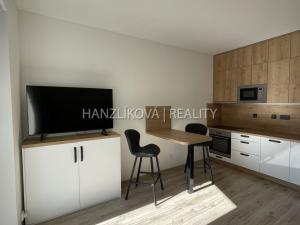 Pronájem bytu 1+kk, České Budějovice - České Budějovice 2, Volejbalistů, 28 m2