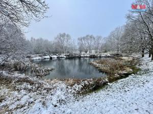 Prodej rybníku, Hrejkovice - Níkovice, 1618 m2