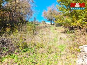 Prodej zahrady, Zlín - Příluky, 601 m2