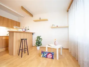 Pronájem bytu 1+kk, Brno, Okrouhlá, 28 m2