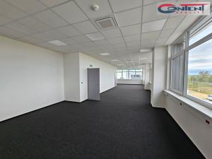 Pronájem výrobních prostor, Chrášťany, Severní, 5104 m2