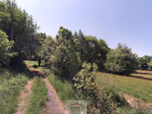 Prodej pozemku pro bydlení, Rožnov pod Radhoštěm, Uhliska, 21099 m2