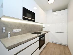 Pronájem bytu 2+kk, Praha - Žižkov, Šrámkové, 74 m2