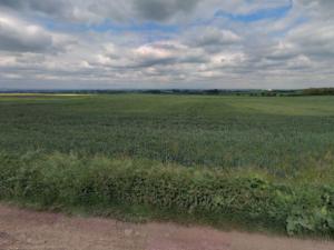 Prodej pole, Veliká Ves, 8750 m2