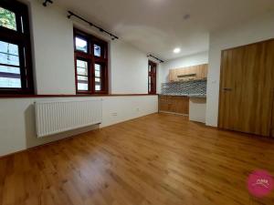 Pronájem bytu 1+kk, Olomouc, Uhelná, 30 m2