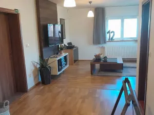 Pronájem výrobních prostor, Ostrožská Lhota, 570 m2