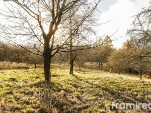 Prodej pozemku pro bydlení, Staré Město - Bílá Studně, 4179 m2