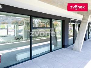 Pronájem obchodního prostoru, Zlín, 210 m2