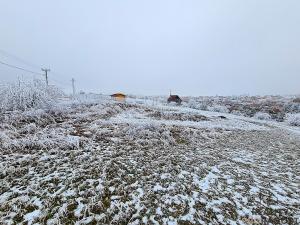 Prodej zahrady, Ruprechtov, 755 m2
