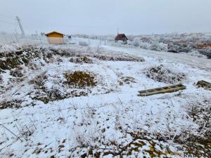 Prodej zahrady, Ruprechtov, 755 m2