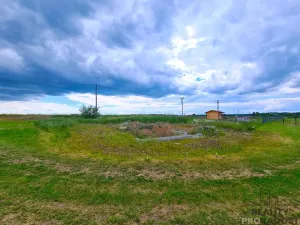 Prodej zahrady, Ruprechtov, 755 m2