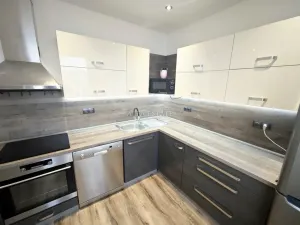 Pronájem bytu 3+1, Ostrov, Družební, 80 m2