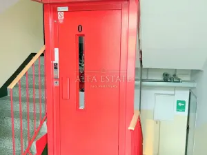 Pronájem bytu 3+1, Ostrov, Družební, 80 m2