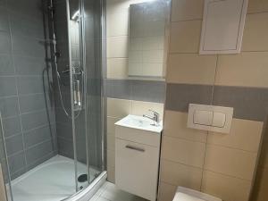 Pronájem bytu 1+kk, Praha - Krč, Čerčanská, 22 m2