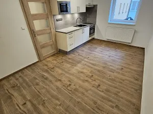 Pronájem bytu 2+kk, Doksy, Dalibora z Myšlína, 56 m2