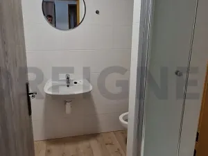 Pronájem bytu 1+kk, Olomouc, Lazecká, 25 m2