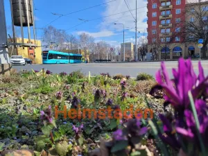 Pronájem obchodního prostoru, Ostrava - Poruba, 17. listopadu, 126 m2