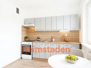 Pronájem bytu 1+1, Karviná - Nové Město, Havířská, 37 m2