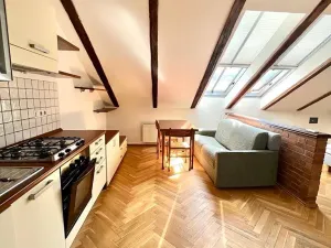 Pronájem bytu 1+kk, Praha - Smíchov, Plzeňská, 47 m2