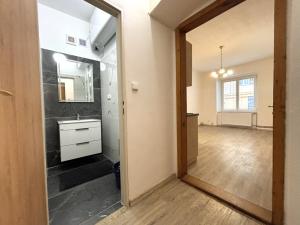 Pronájem bytu 1+kk, Plzeň - Jižní Předměstí, Vrchlického, 28 m2