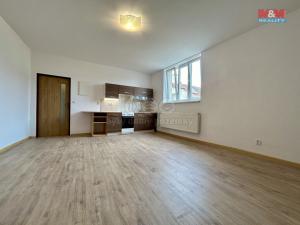 Pronájem bytu 1+kk, Švihov, Čsl. legií, 40 m2