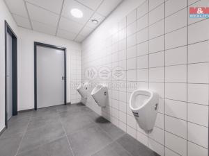 Pronájem kanceláře, Říčany, U Sanitasu, 66 m2