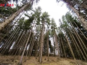 Prodej rodinného domu, Teplice nad Metují - Dolní Teplice, Nádražní, 239 m2