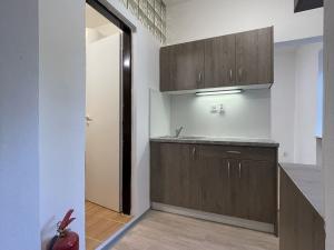 Pronájem bytu 2+kk, Olomouc - Hodolany, Hodolanská, 56 m2