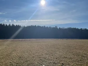 Prodej lesa, Svatý Jan nad Malší - Sedlce, 27831 m2