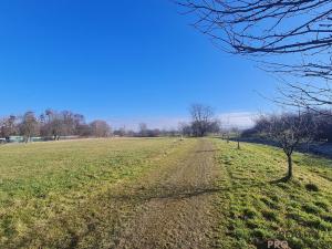 Pronájem zahrady, Domaželice, 988 m2
