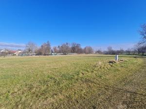 Pronájem zahrady, Domaželice, 988 m2