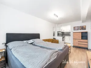Pronájem bytu 1+kk, Praha - Břevnov, Za Strahovem, 24 m2