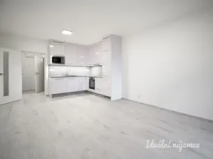 Pronájem bytu 1+kk, Brno - Ponava, Reissigova, 35 m2