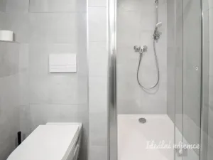 Pronájem bytu 1+kk, Brno - Ponava, Reissigova, 35 m2
