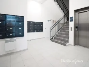 Pronájem bytu 1+kk, Brno - Ponava, Reissigova, 35 m2
