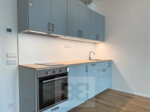 Pronájem bytu 1+kk, Praha - Holešovice, U průhonu, 42 m2