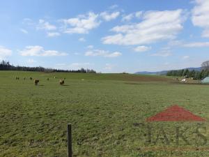 Prodej pozemku pro bydlení, Janovice nad Úhlavou, 11860 m2