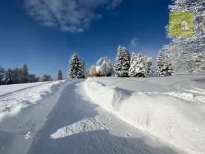 Prodej rodinného domu, Janské Lázně, Janská, 100 m2